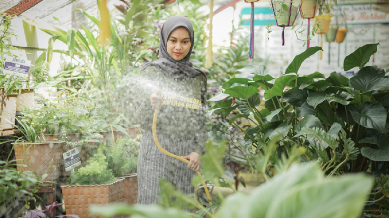 Ma'rifah Herbal