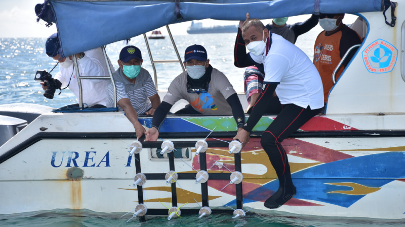 Pembuatan Media Terumbu Tahun 2021