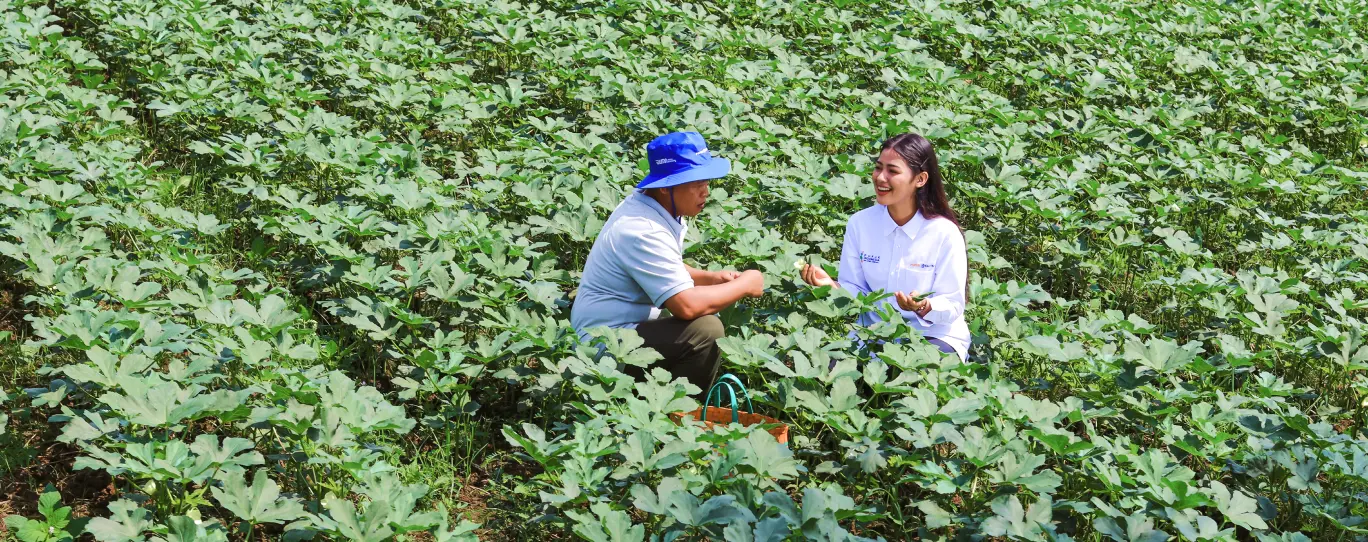 petani
